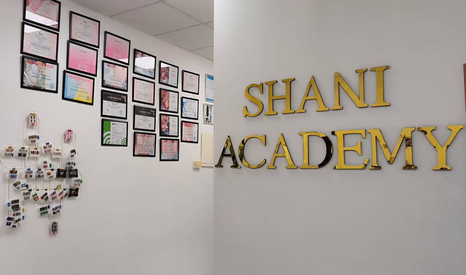 חלל SHANI ACADEMY, קיר התעודות ולוגו האקדמיה